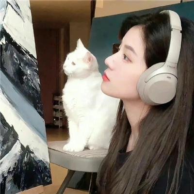 兔子谜题